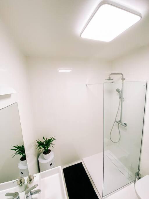 New Studio In Quiet Part Of The City Center 브라티슬라바 외부 사진